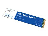 WD Blue SA510 WDS250G3B0B - SSD - 250 GB - intern - M.2 2280 - SATA 6Gb/s - Blau
