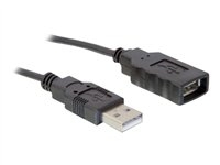 DeLock USB2.0 to Serial Adapter - Serieller Adapter - USB - RS-232