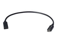 i-Tec - USB-Verlängerungskabel - USB-C (W) bis USB-C (M) - 30 cm